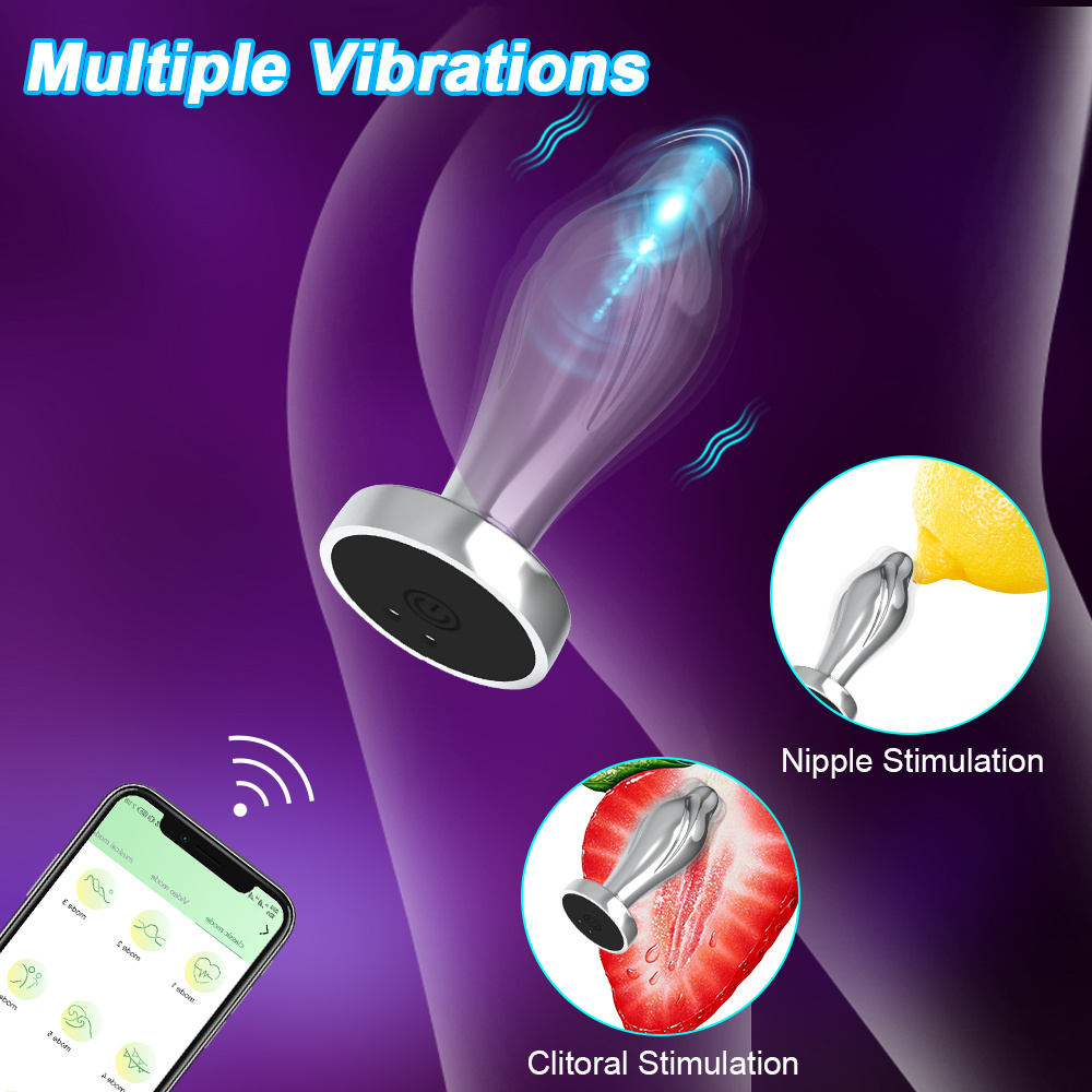 analvibrator-stecker, vibrationsprostata-app, handy-sexspielzeug aus edelstahl Produktdetails 4