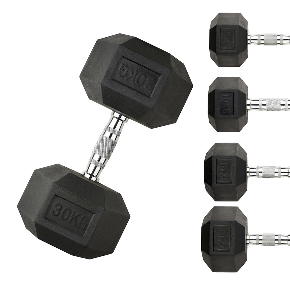 Hex Dumbbells 20kg Pairs Rubber Encased Weight Home Gym Equipment, Strength Training Workout Functional Fitness Muscle Build Dumbell Dumbell Dumbel
