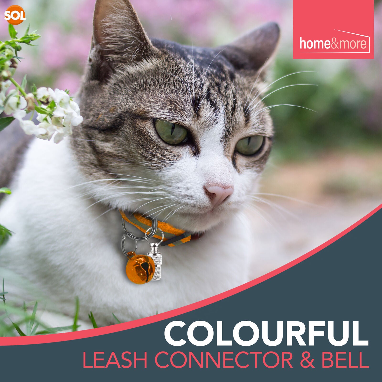 6 Pack Reflective Cat Collars with Safety Release & Bell