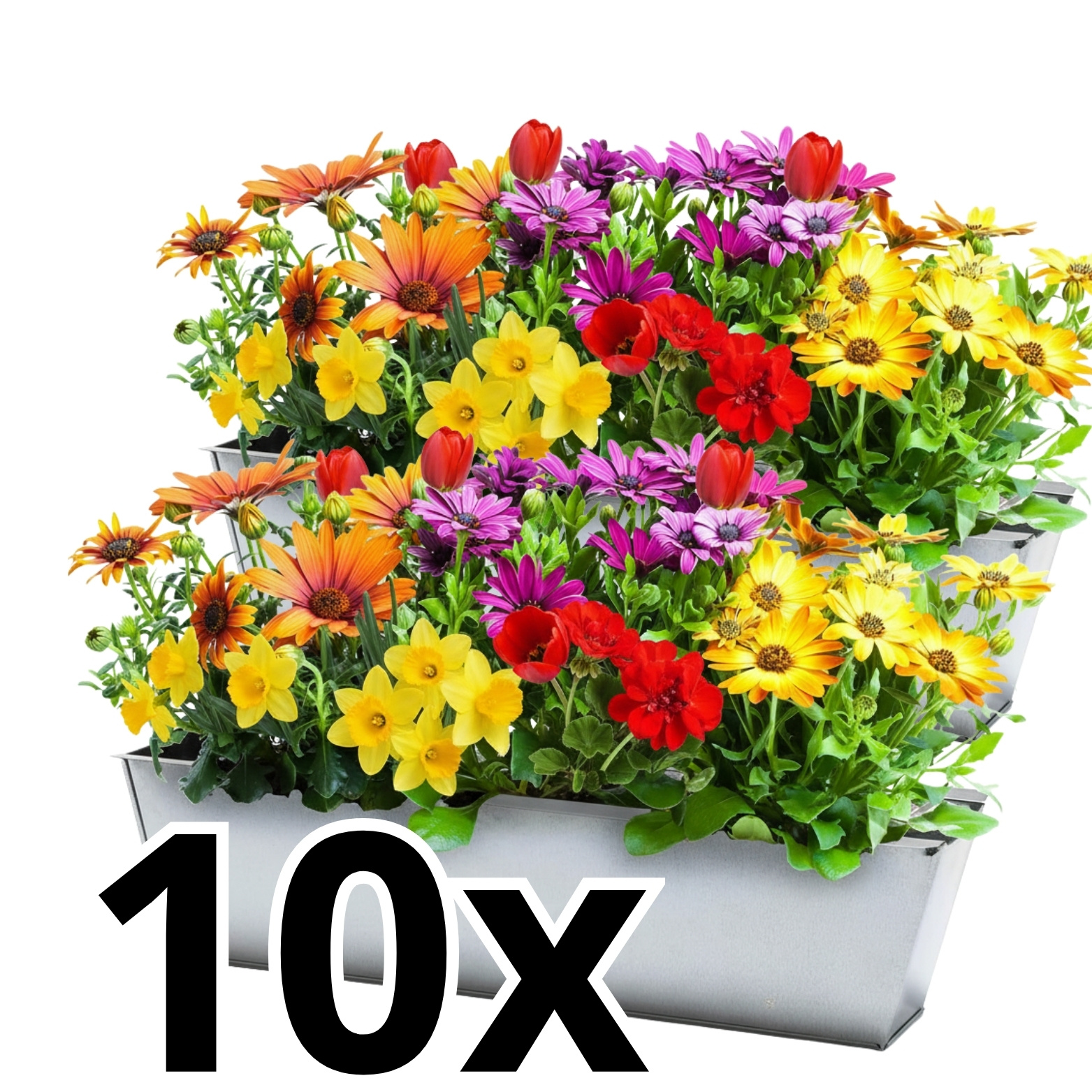 E-shop Paletten Blumenkasten Set aus Zink Palettenkästen Zinkkästen Pflanzkästen 38 cm