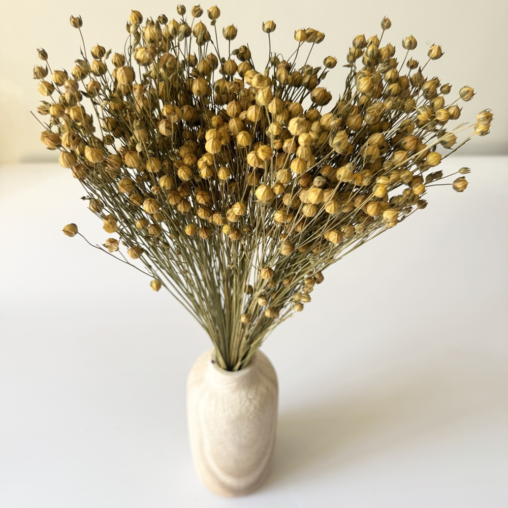 TEMU Lino naturale essiccato Ok. 100 G, 60 cm di lunghezza, decorativo per vasi, bouquet e ghirlande, fiori secchi per casa, ufficio e progetti.