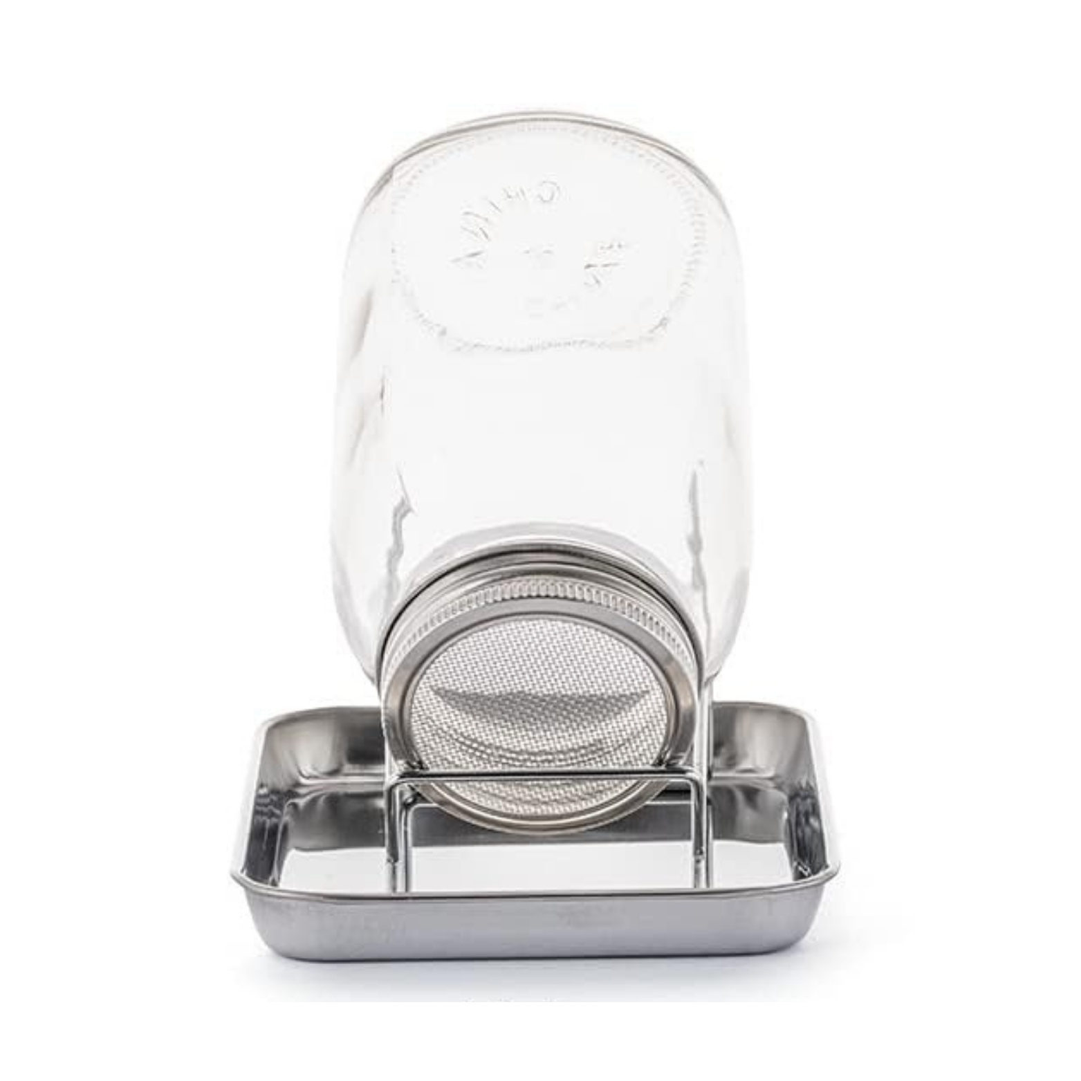 Sprout Glass With Lid + Stand Seed Glass