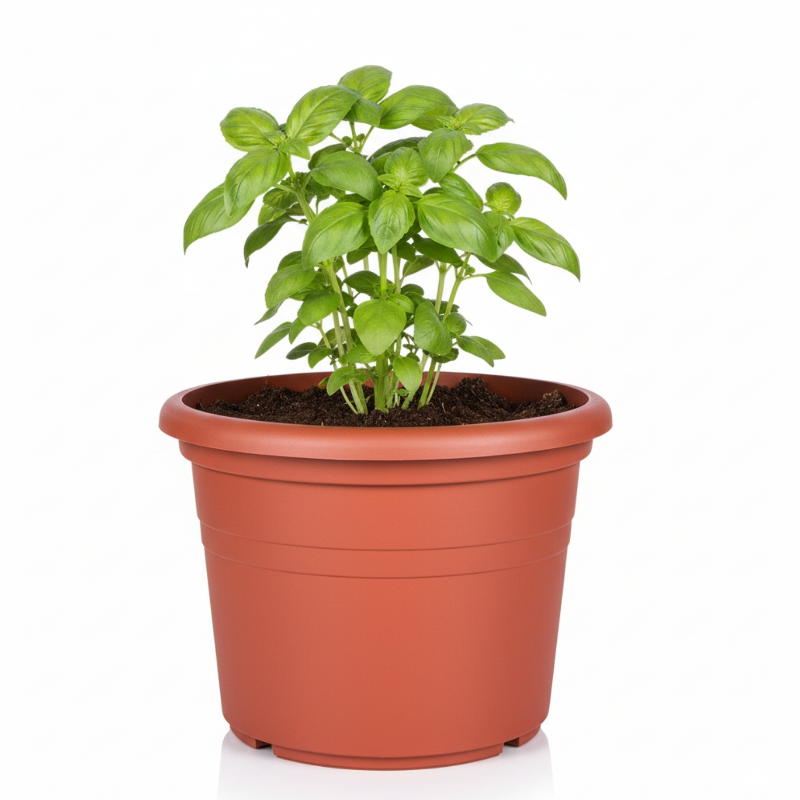Flower Pot Set, Ø 25 Cm Plant Pot