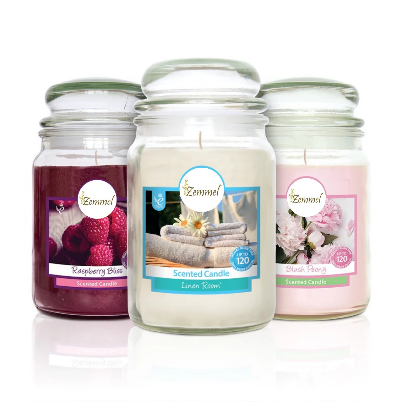 TEMU 18oz Scented Jar Candles - 120 Hours Multiple Fragrances