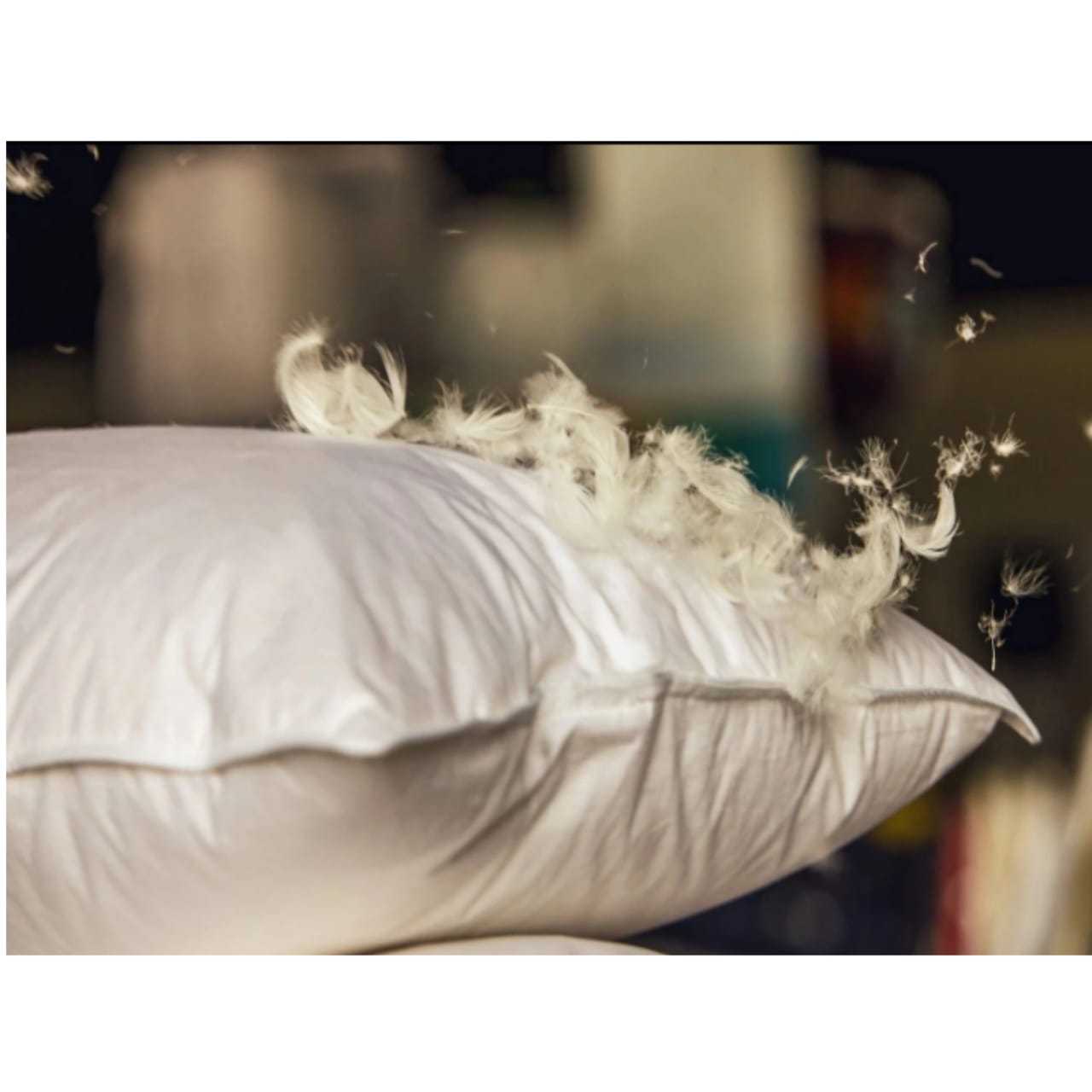 OLYMPUS TEXTILES Duck Feather Pillows, Set of 2, Size 48x74 cm – Soft and Supportive Hotel-Quality Bed Pillows for Comfortable Night Sleep with Premium Feather Filling, Breathable Fabric Cover for Fresh Feeling, Medium Firm Support for Proper Neck Alignment, Long-Lasting Shape for Everyday Use in Home and Hotel Rooms