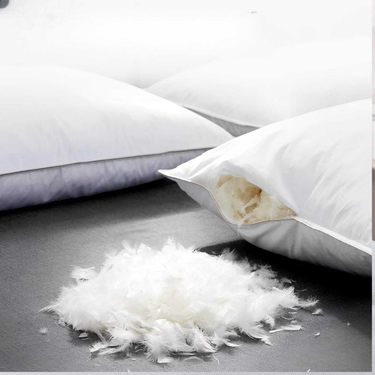 OLYMPUS TEXTILES Duck Feather Pillows, Set of 2, Size 48x74 cm – Soft and Supportive Hotel-Quality Bed Pillows for Comfortable Night Sleep with Premium Feather Filling, Breathable Fabric Cover for Fresh Feeling, Medium Firm Support for Proper Neck Alignment, Long-Lasting Shape for Everyday Use in Home and Hotel Rooms