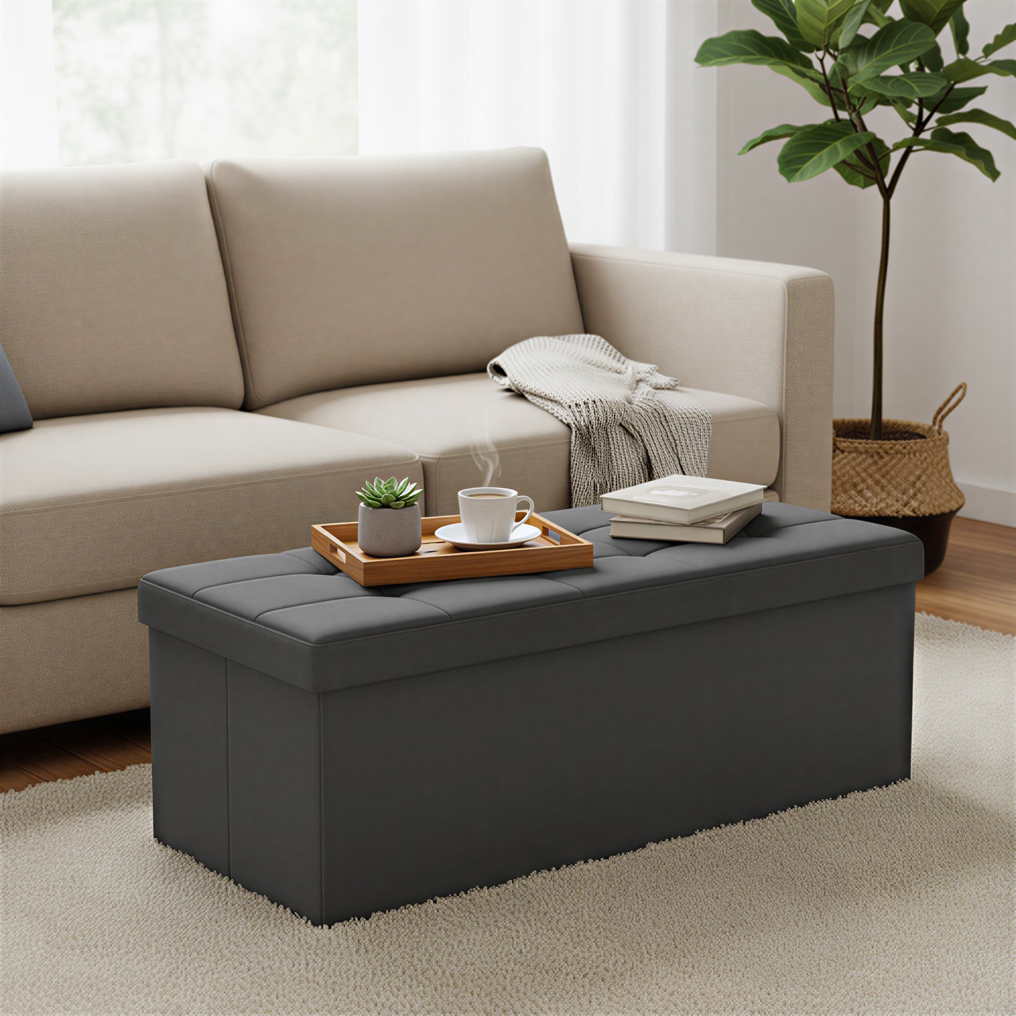 Bench With Storage, Seat Chest, Bed Bench, Storage Trunk, For Living Room, Bedroom, Hallway