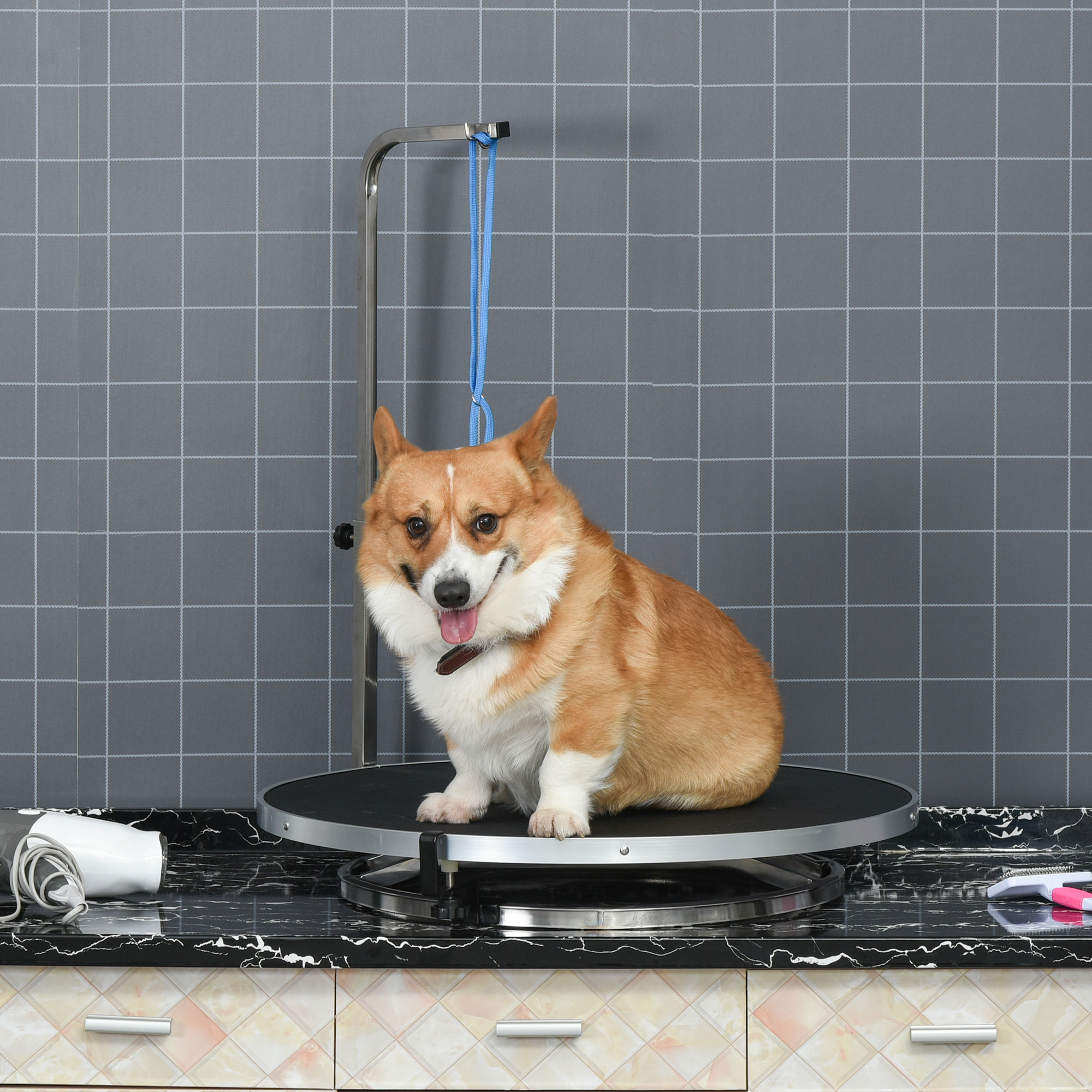 Image of Pawhut Dog Grooming Table Pet Grooming Table Rotatable Drying Table With Adjustable Arm Non-slip Table Top Locking System Aluminum Alloy Edge Stainless Safety Leash 65x H10
