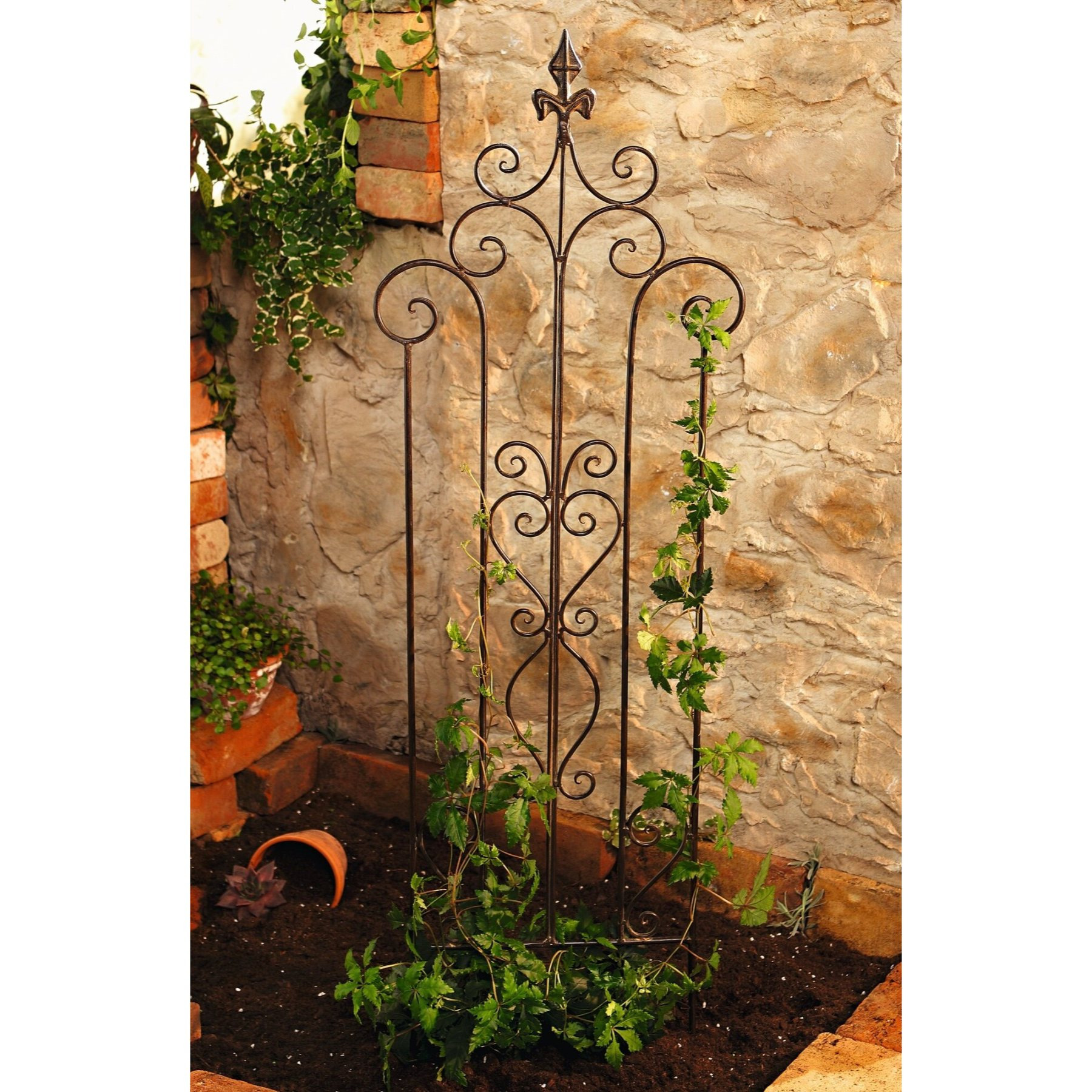 E-shop Rankhilfe "Schwertlilie" aus Metall in Rost Optik, 117 cm hoch, Rankgerüst, Rankgitter, Gartenstecker, Dekostecker, Garten Deko, Kletterhilfe