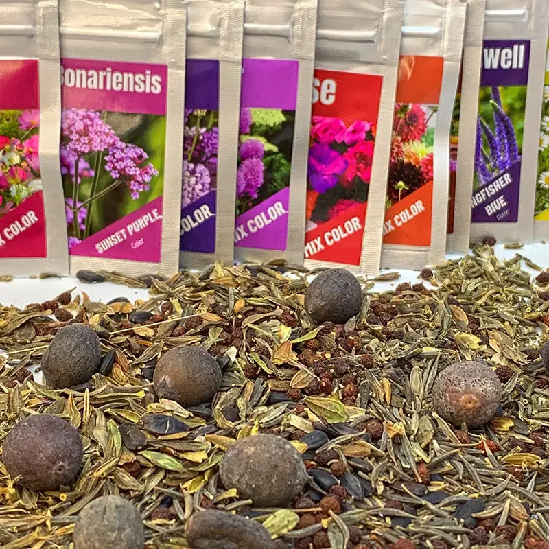 TEMU 80, 000+ Bee Garden Seed Bombs - 12 Easy-to- Seed Varieties Bee Bombs Seed Mix Create A Paradise Outdoor Gardening Gifts, Christmas Gifts.