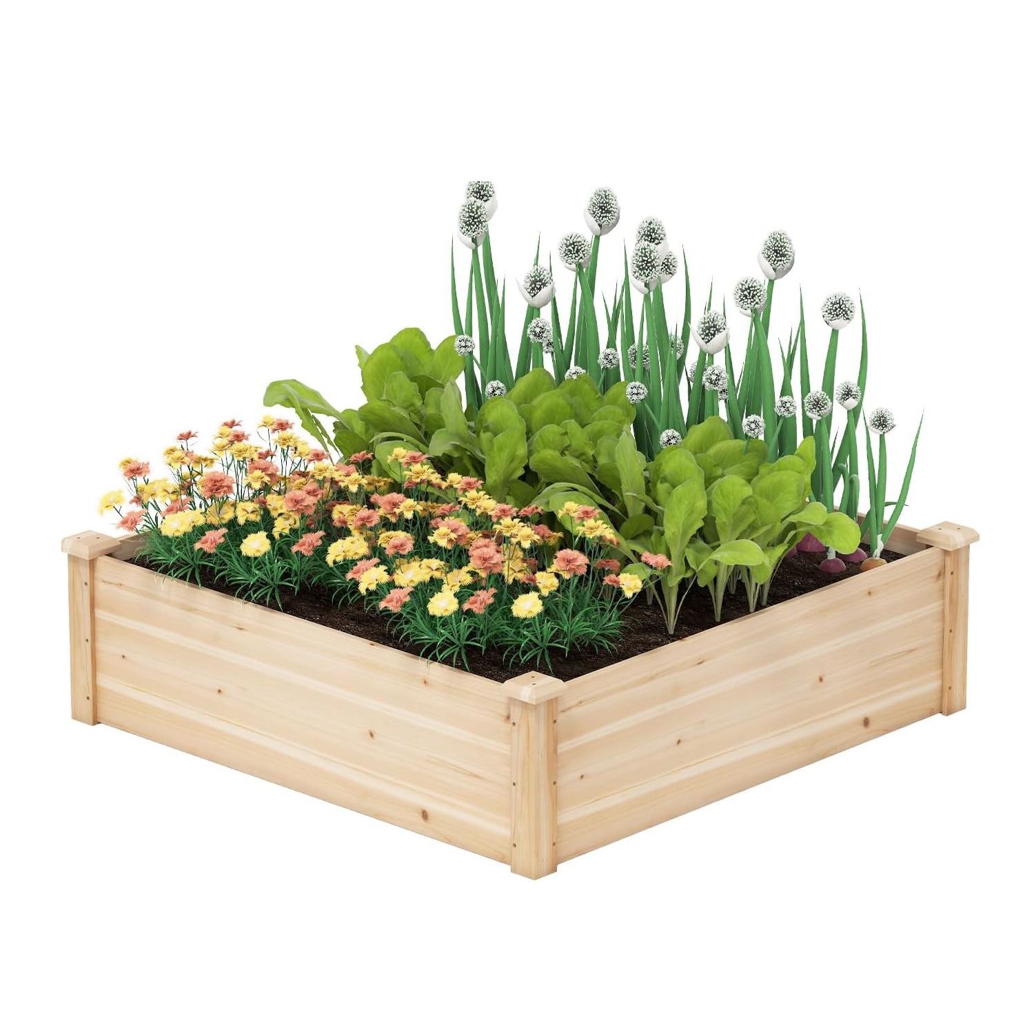 Image of Garden Bed In Pine Wood, Outdoor Garden With Open Background, For Flowers, Vegetables, Herbs, Fruits