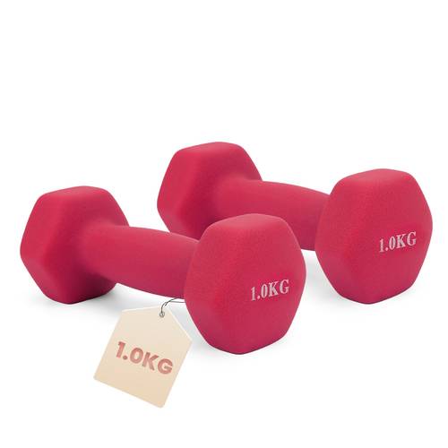set palestra casa, set manubri palestra ghisa rivestiti in antiscivolo dumbbells set kg, per lallenamento fitness femminile, yoga pilates e esercizi a casa