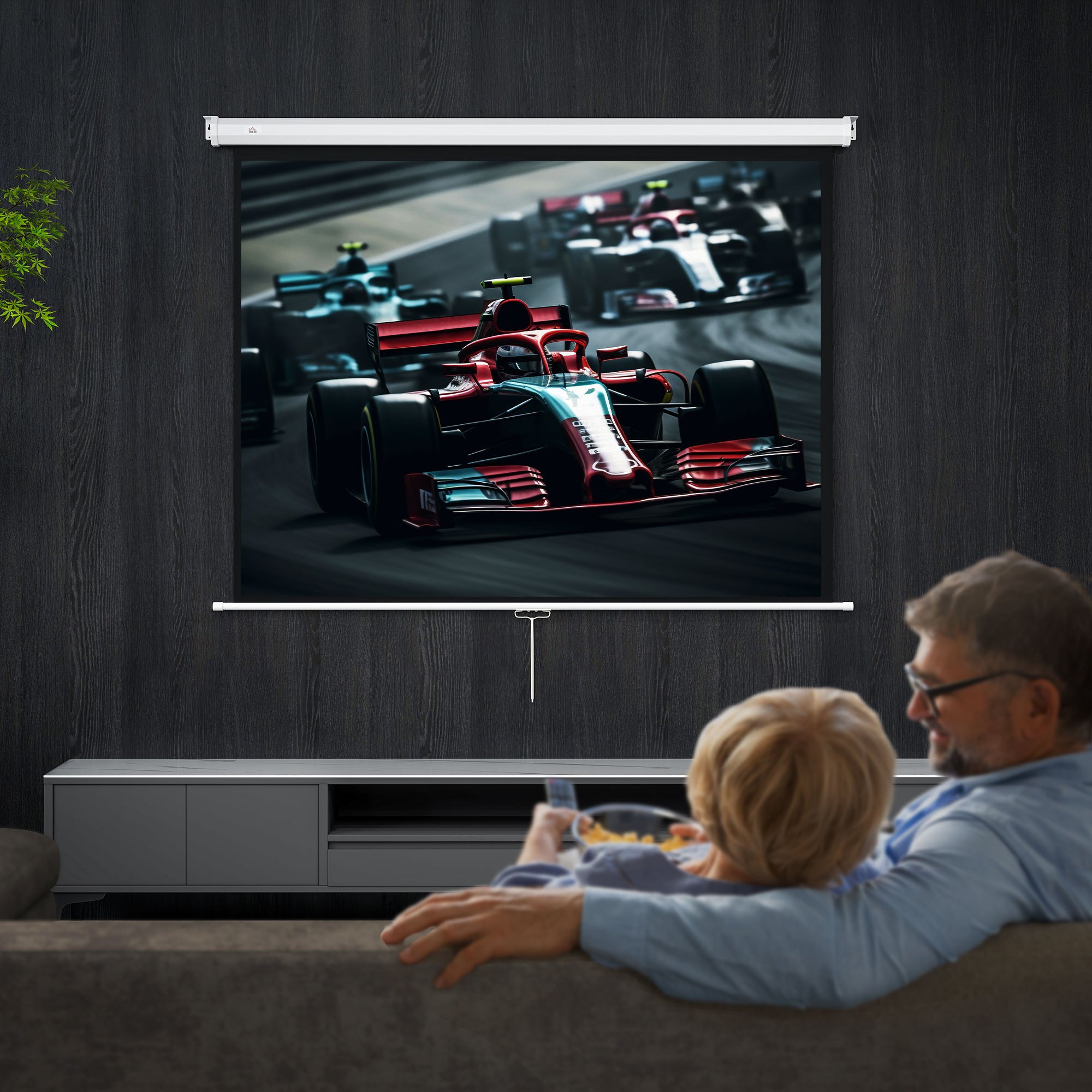 Projector Screen 171 X 128 Cm 84 Inches 4: 4k Roll-up Projection Screen For Home Theater And Office Presentations
