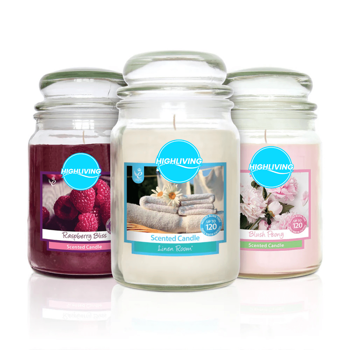 TEMU 18oz Scented Glass Jar Candles Up To 150 Hours With Amazing Fragrance- 3 Different Flavors