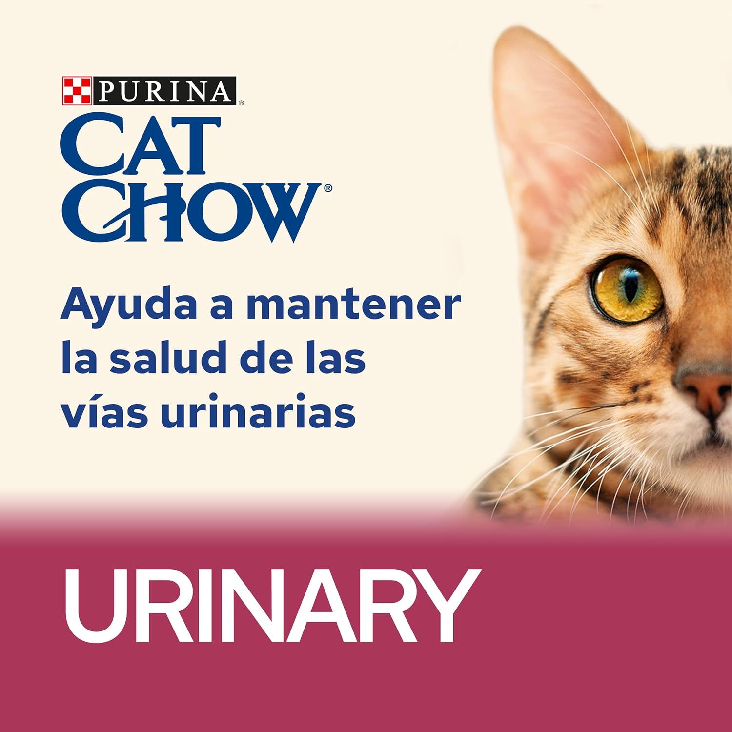 Purena Cat Chow Nourriture pour Chat Adulte UHT Urinaire au Poulet