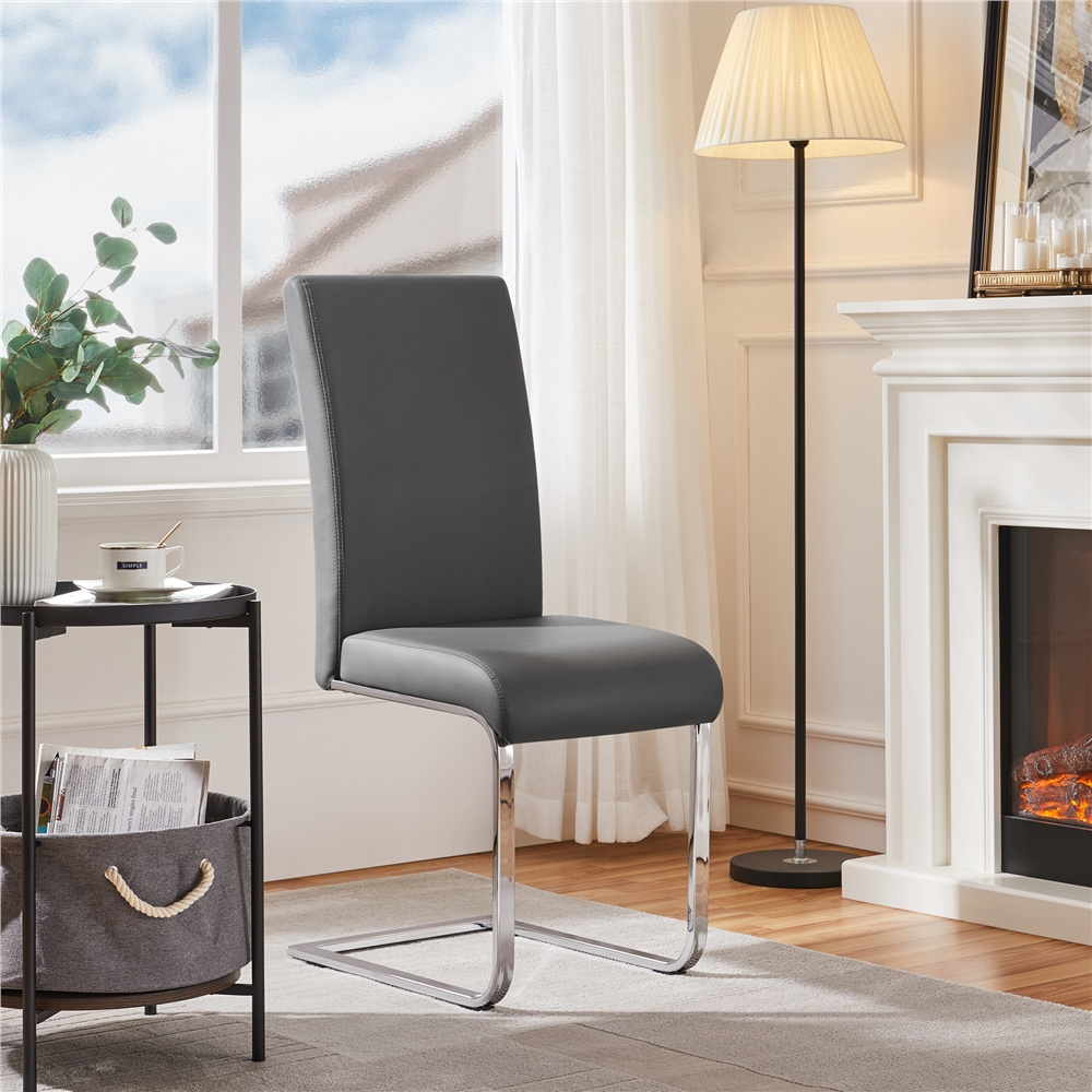 Image of Costoffs 2-piece Dining Chairs, Cantilever Dining Chairs, Max. Load Capacity 135 Kg