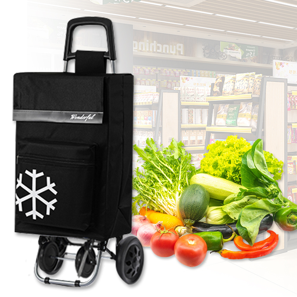 TEMU Carrito de compra plegable con bolsa térmica, 4 ruedas con amortiguadores, bolsa extraíble, 97 x 45 x 41 cm, capacidad de 40 litros, diseño