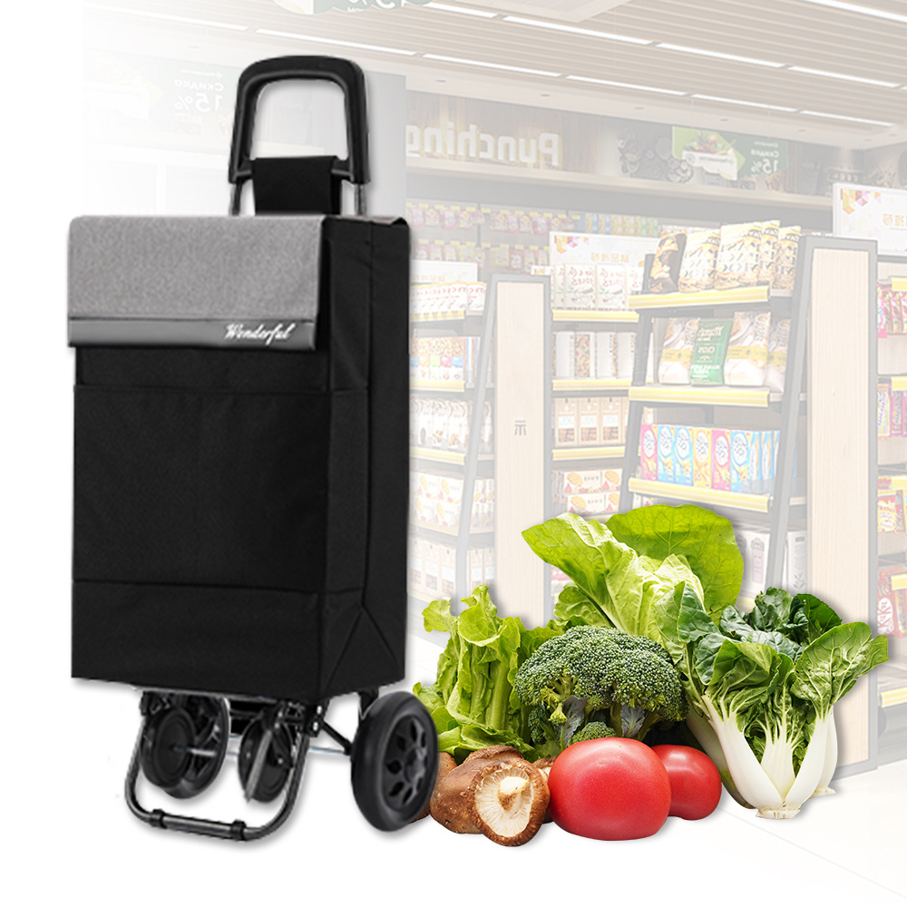 TEMU Carro de compra de ruedas, multifuncional, gran capacidad 40L, plegable, bolsa de compra desmontable, tamaño 97×41×45 cm
