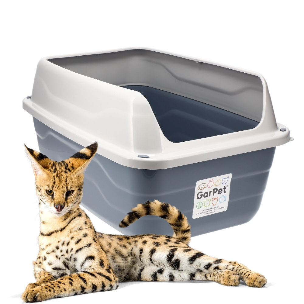 E-shop XXL Extra hohe Katzentoilette offene Katzenklo mit hohem Rand ohne Deckel große Katzentoilette offen Katzenklo hoher Rand