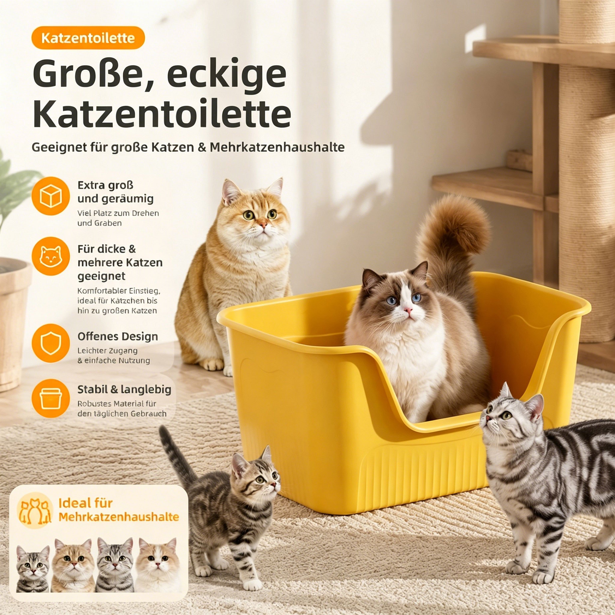 Xxl Cat Litter Box | Extra Large & Open | Large Cat Litter Tray | Modern | Splash Guard & High Rim | Plastic | For Large Cats & Multi-cat Households