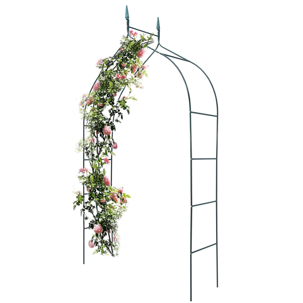 TEMU BAKAJI da Giardino Supporto per Rose Piante Rampicanti in Metallo 140-170 x 38 x 240H cm
