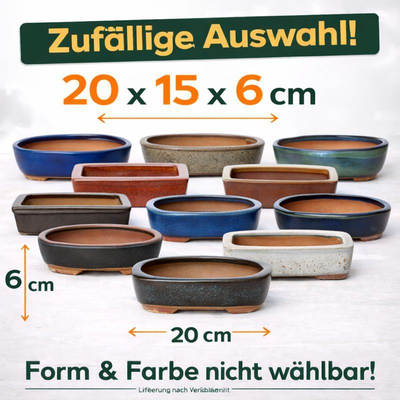 Exotic Heart - Bonsai Pot Size 3 Random Shape And Random Color L . 20cm B . 14cm H . 7cm