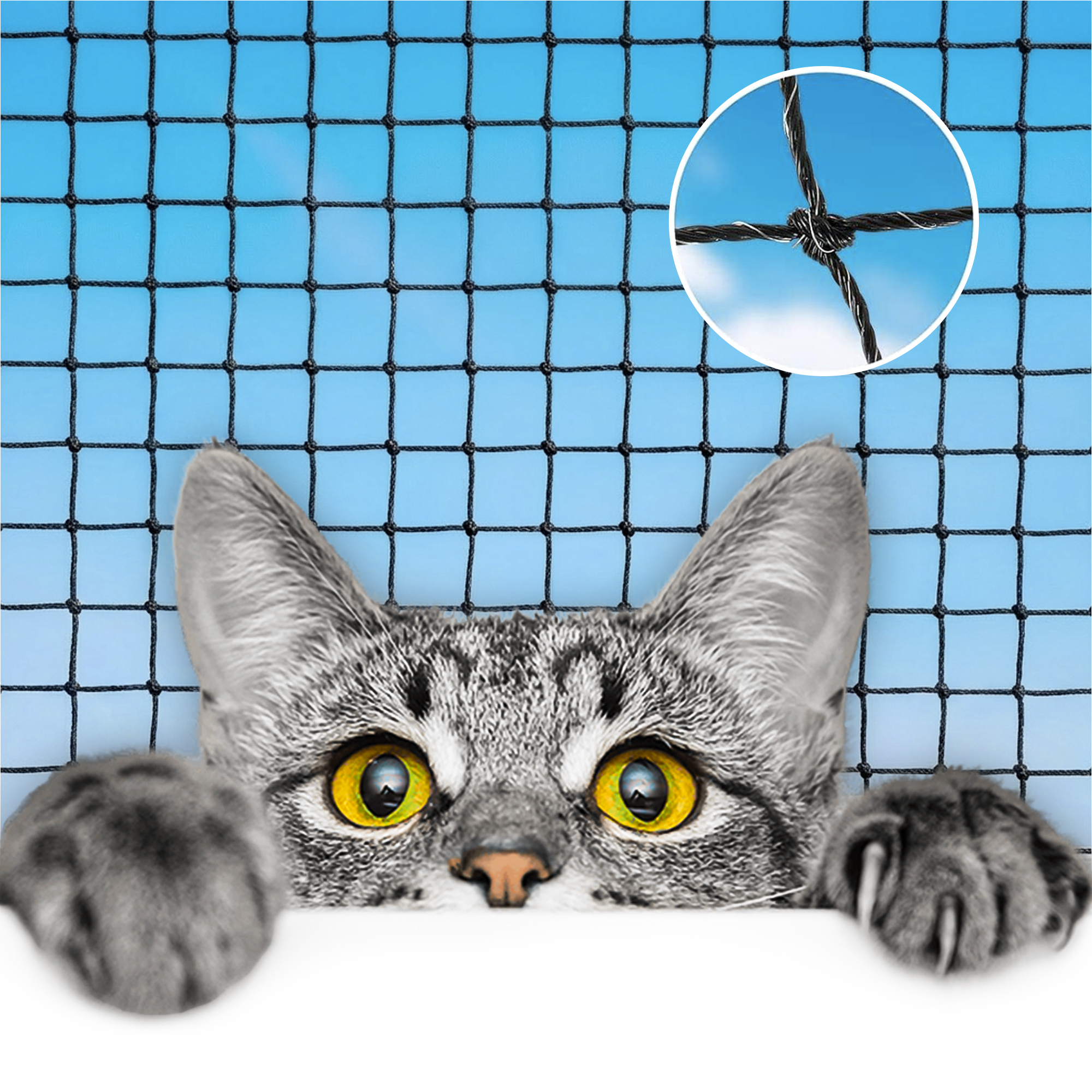 Image of Cat Net For Balcony – Wire-reinforced Balcony Net For Cats With 3 X 3 Cm Mesh Size, Bite & Scratch Resistant, Weatherproof, Black