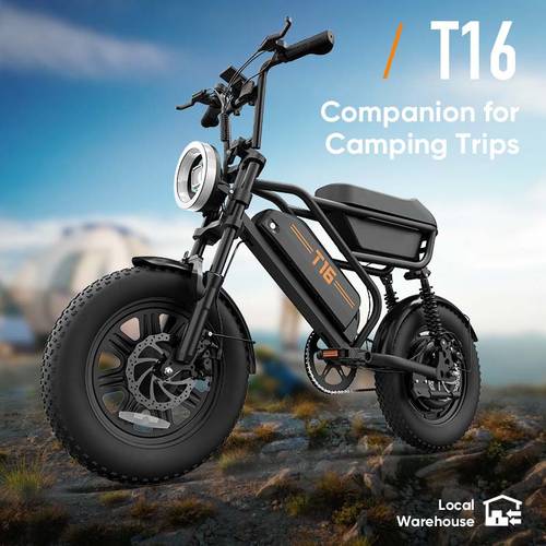 16 Inch Electric Bike for Adults, T16 Ebike with 48V 13Ah Large Battery Long Range, 250W Motor, 16x3.0 Fat Tires & Full Suspension, Commuter Bicycle with Cargo Storage Box & Night Lights