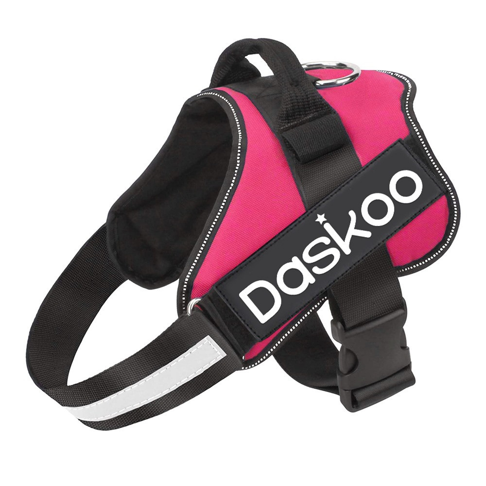 Small Dog Harness With Leash, Soft Mesh Puppy Harness For Walking Xs/s/m/, Pink, Blue