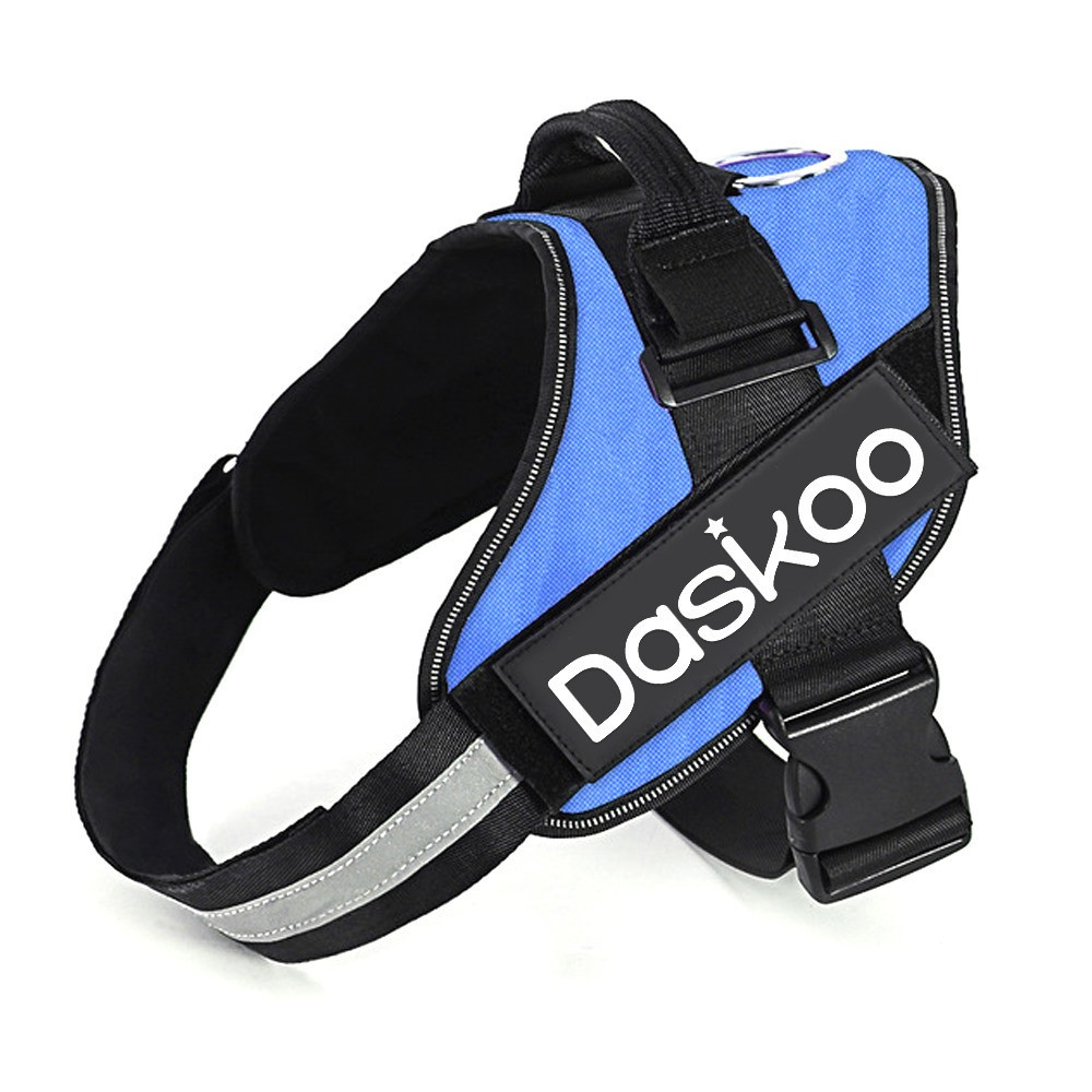 Small Dog Harness With Leash, Soft Mesh Puppy Harness For Walking Xs/s/m/, Pink, Blue
