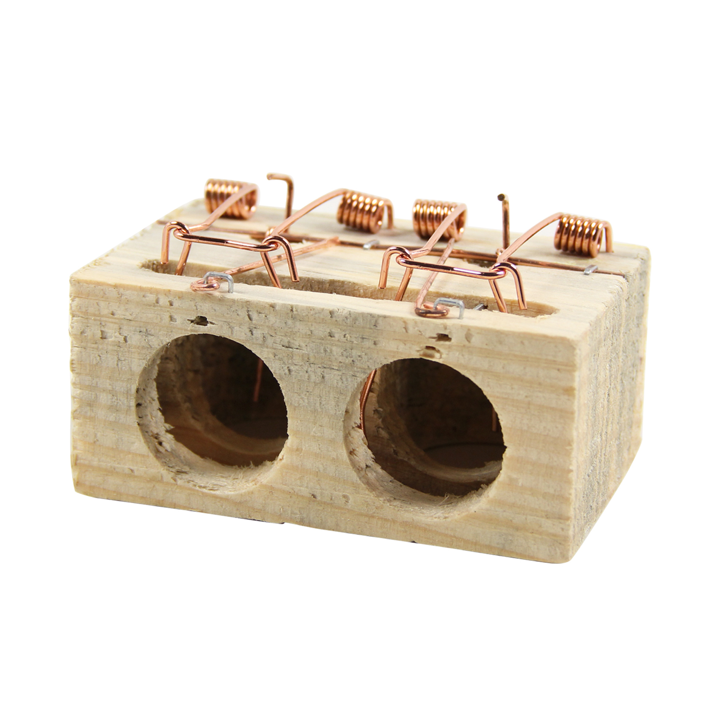 TEMU para ratones de madera / Jaula para ratones de pino / para roedores / Jaula ratones / para ratones / Jaula de madera para control de plagas /