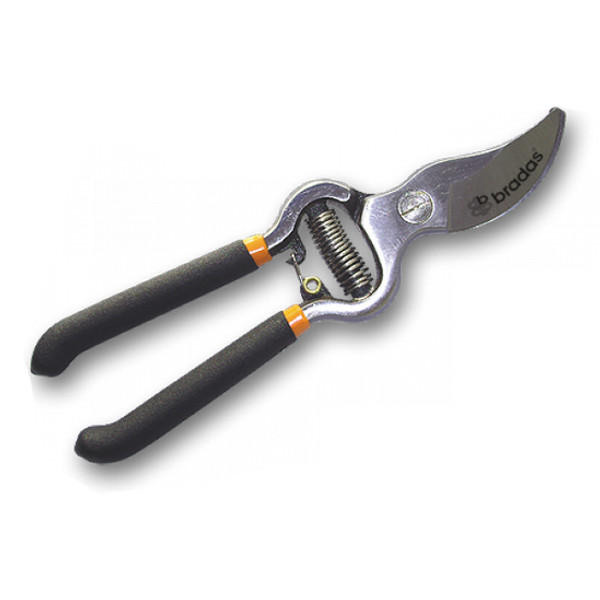 Image of Traditional Garden Shears
