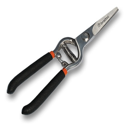 Image of Traditional Garden Shears, Straight Carbon Steel