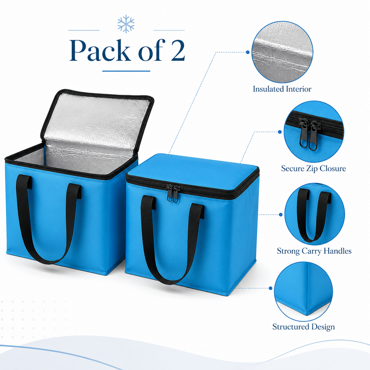 TEMU Pack Of 2 Insulated Cooler Bags 12l, Compact Lunch Cooler Tote Bags With Carry Handles, Small Picnic Food Storage Bags For Work, School, Travel,