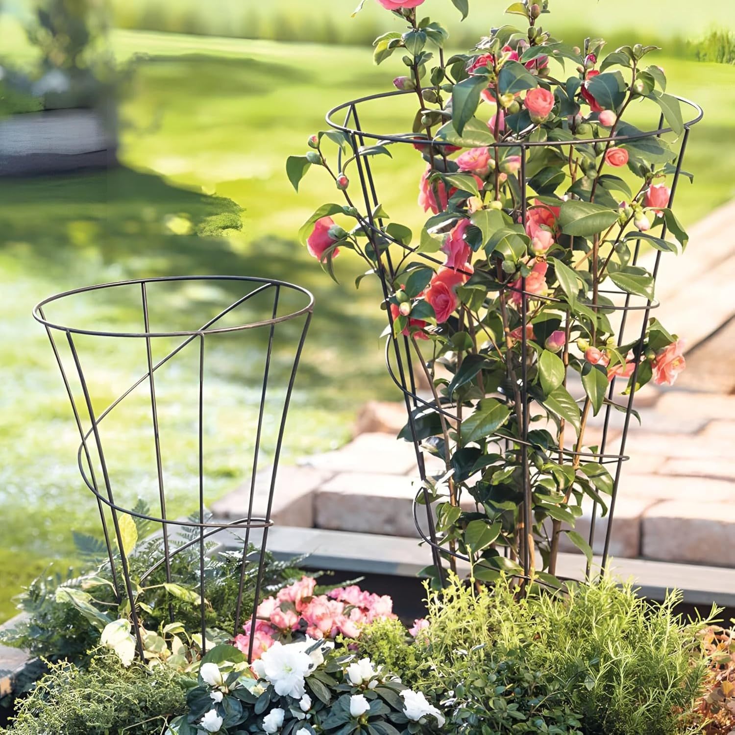 2x Perennial Support "funnel" Plant Stake, Metal, Black, Round, 63 + 80 Cm Tall, Shrub Support, Climbing Aid