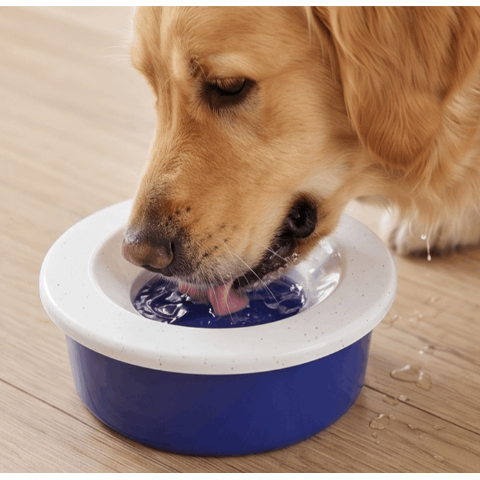 Image of Bowl For Dogs And Cats With Protective Disk – Travel-friendly, Prevents Water Splashing, For Car And Home, Mess- Dispenser