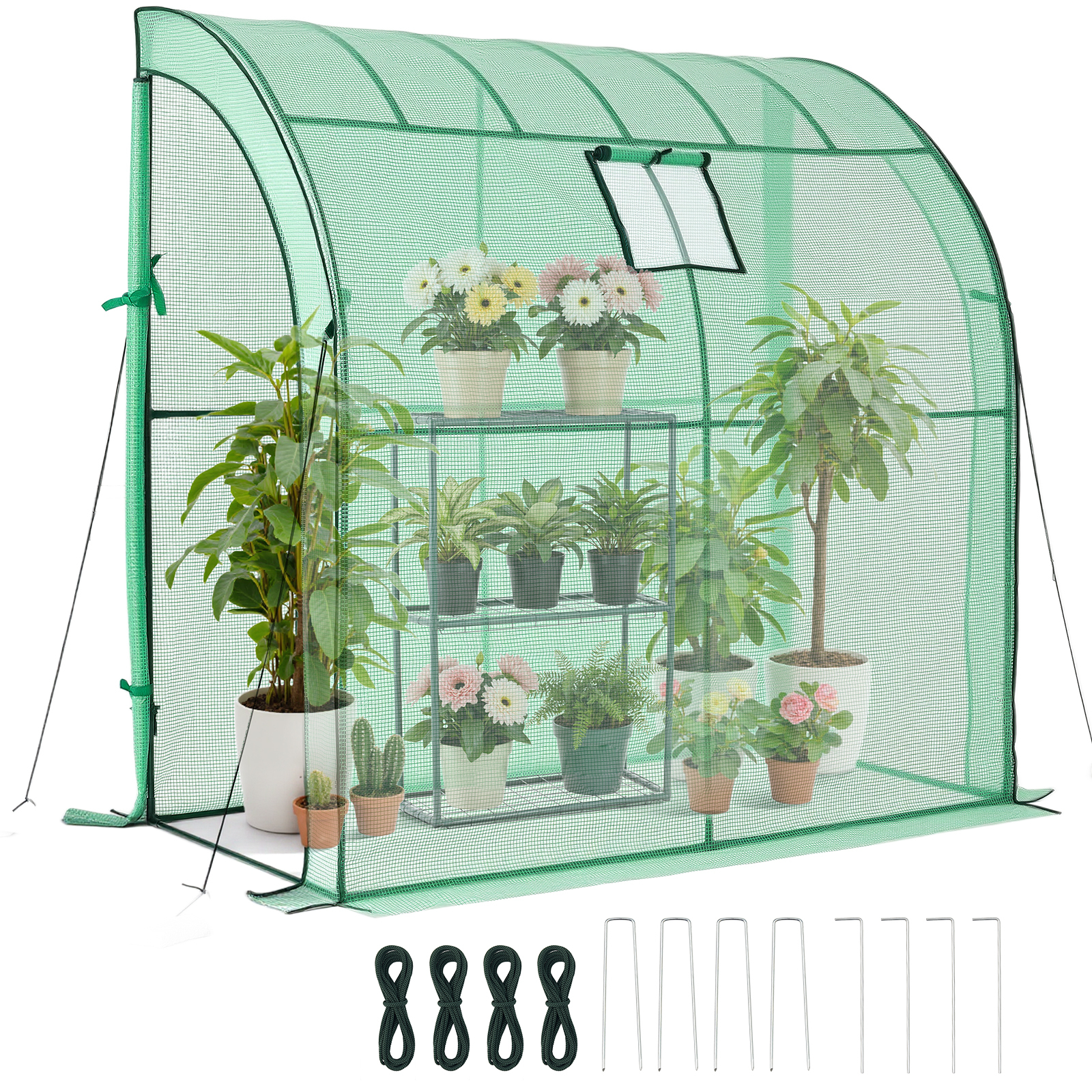 TEMU Vevor Walk-in Greenhouse, 78" X 39.4" X 78.7" Greenhouse For Outdoors With Window, Pe Cover, 3-tier Shelf, Roll-up Zipper Doors, Walk House Kit,