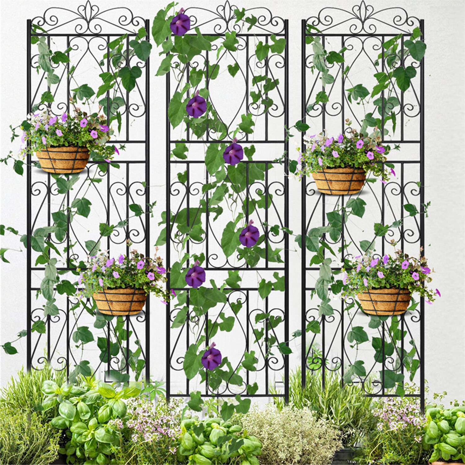 2 Packs Garden Trellis 50x182cm For Climbing Plants Outdoor For Patio Fence Wall Decor, Plant Trellis For Vine Ivy Cucumber Bean Flower Roses, Black