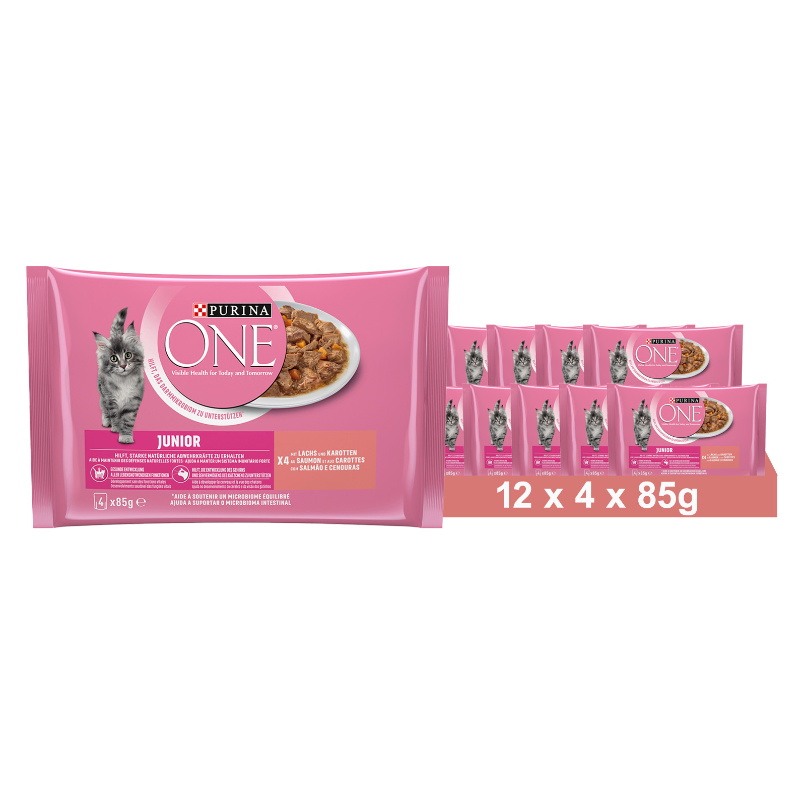 Purina 1 Junior Wet Kitten Food With Salmon & Carrots