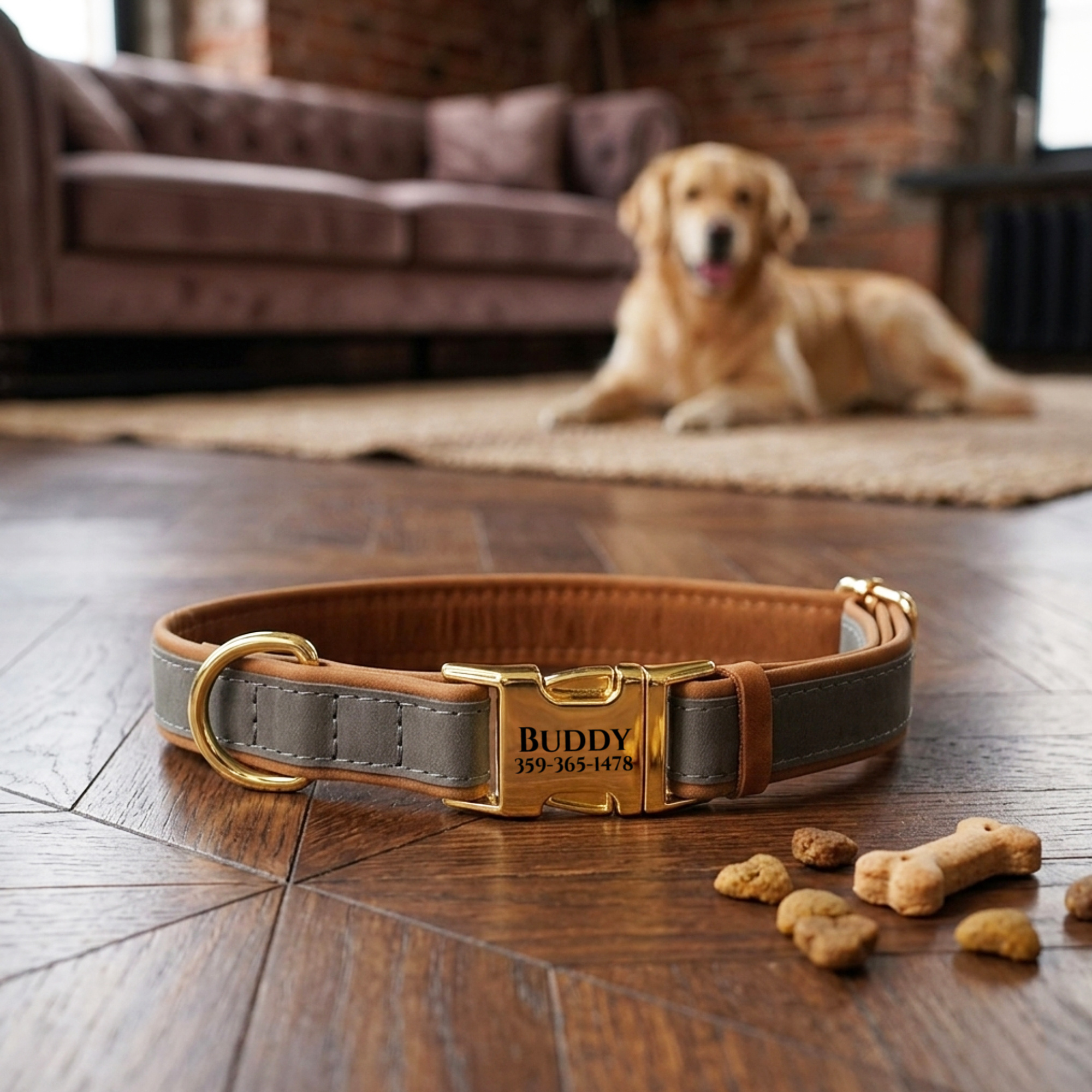 Personalized Leather Dog Collar With Gold Metal - Custom Engraved Premium Dual-color Padded Pet Collar - Adjustable Pet Collar For Small Medium Large Xl Dogs