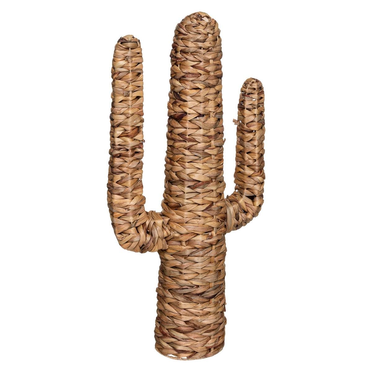 Image of Hacienda Cactus Decoration - Water Hyacinth, H75 Cm