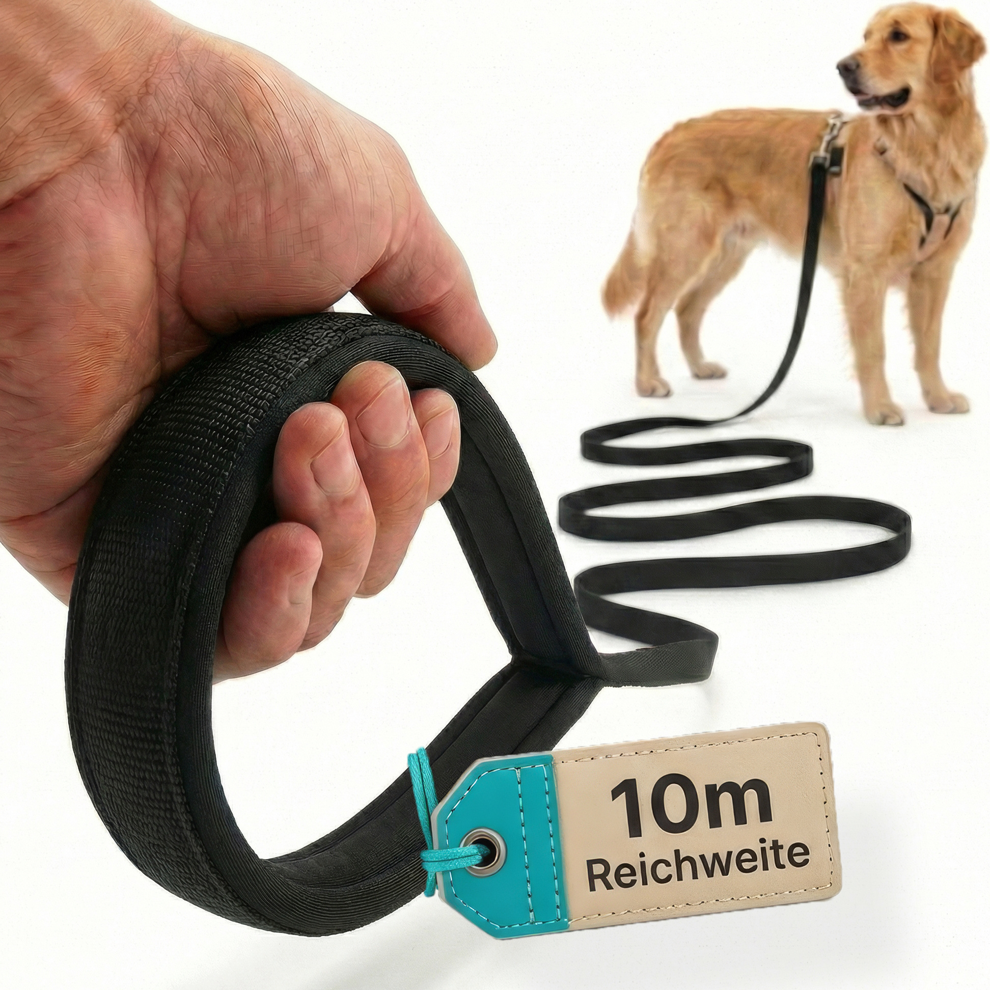 Image of Dog Is King Towing Line 10m For Dogs - Dog Leash 10m With Handle Pad - Dog Towing Line, Water-repellent & Dirt-resistant - For Dog Training