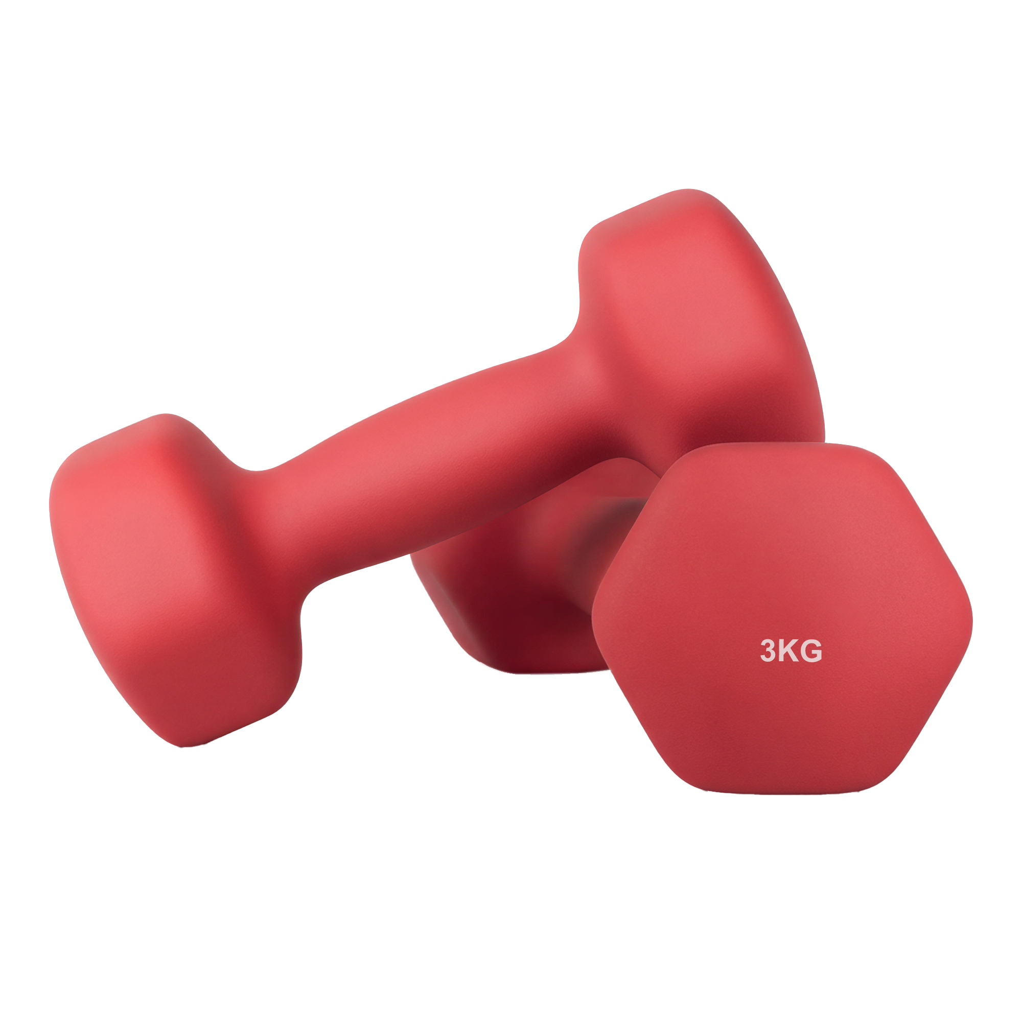 TEMU Set Manubri Esagonali in Neoprene, 2 x 3 kg, con Barre per Manubri, Allenamento a Casa
