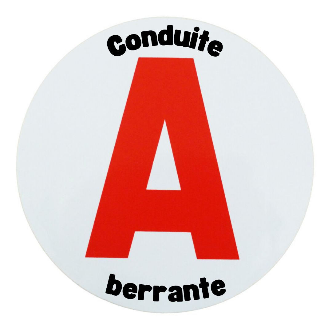 TEMU Disque A Conducteur Magnétique - Autocollant 15 cm - Designs Humoristiques Auto & Moto