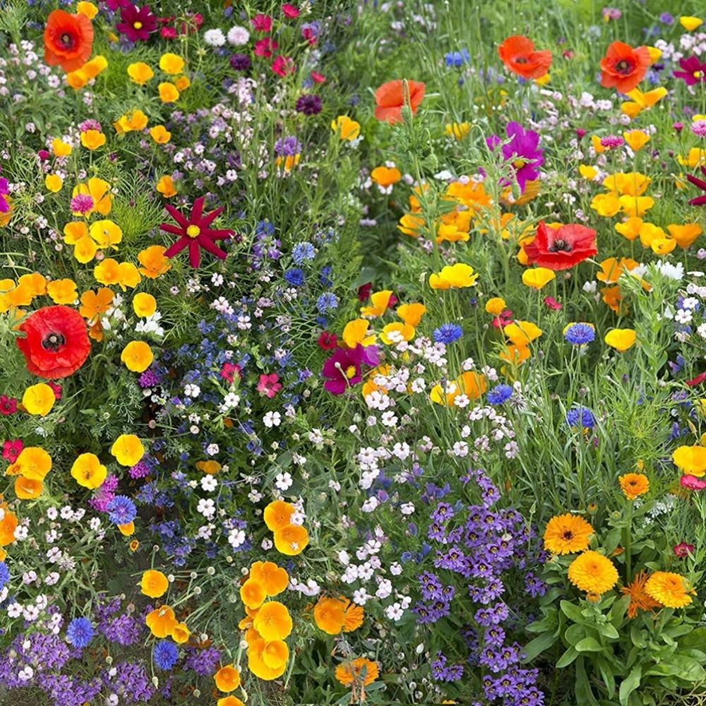 E-shop 106 Packungen gemischter Wildblumen, eine farbenfrohe Landschaft aus verschiedenen Blumen, Gartendekoration für den Außenbereich