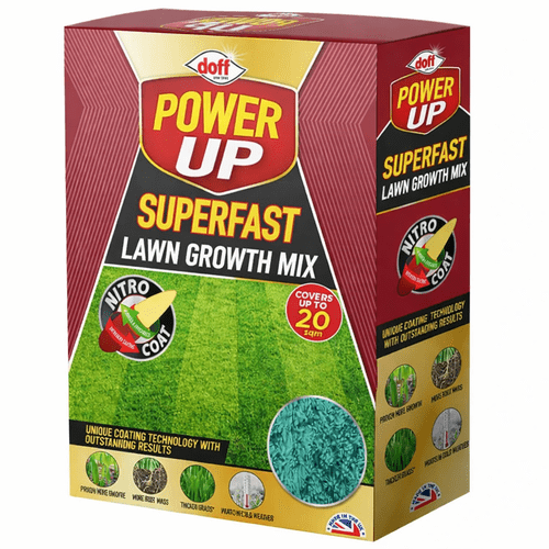 premium lawn grass mix 500 coverage garden grass blend for lawns thick growth for patch repair garden use outdoor spaces