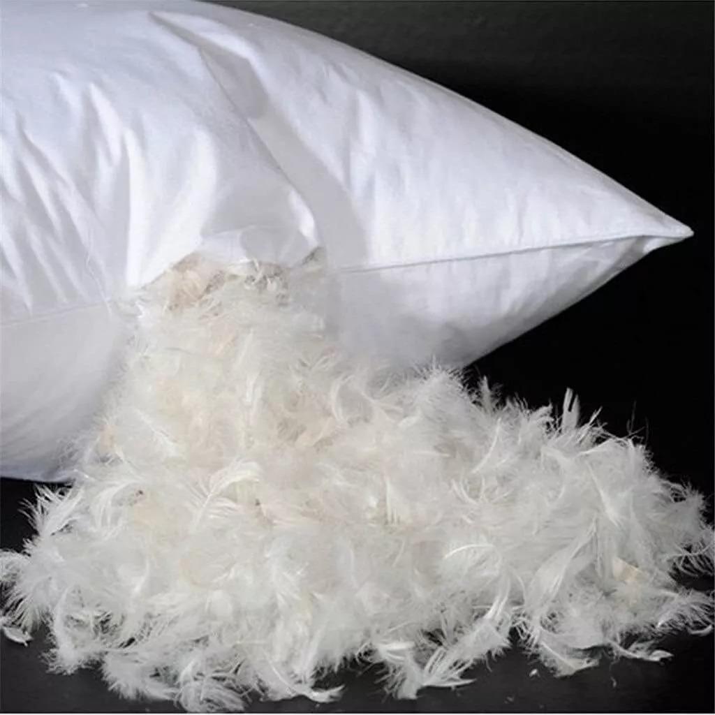 Pack of 4 Duck Feather Pillows Hotel Quality (Standard Size) - Luxury Down Pillows Extra Soft Filling Filled in 100% Cotton Cover (White, 48 * 74)