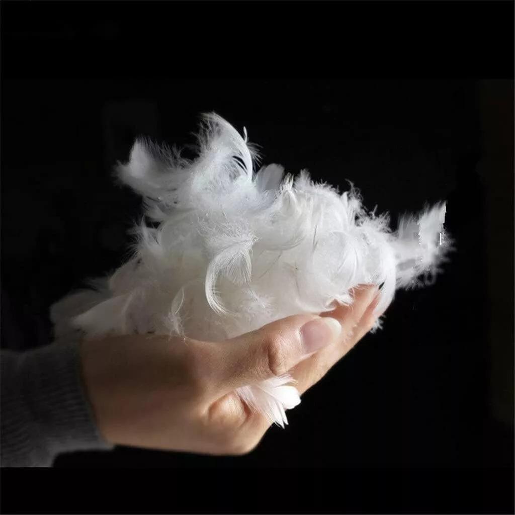 Pack of 4 Duck Feather Pillows Hotel Quality (Standard Size) - Luxury Down Pillows Extra Soft Filling Filled in 100% Cotton Cover (White, 48 * 74)