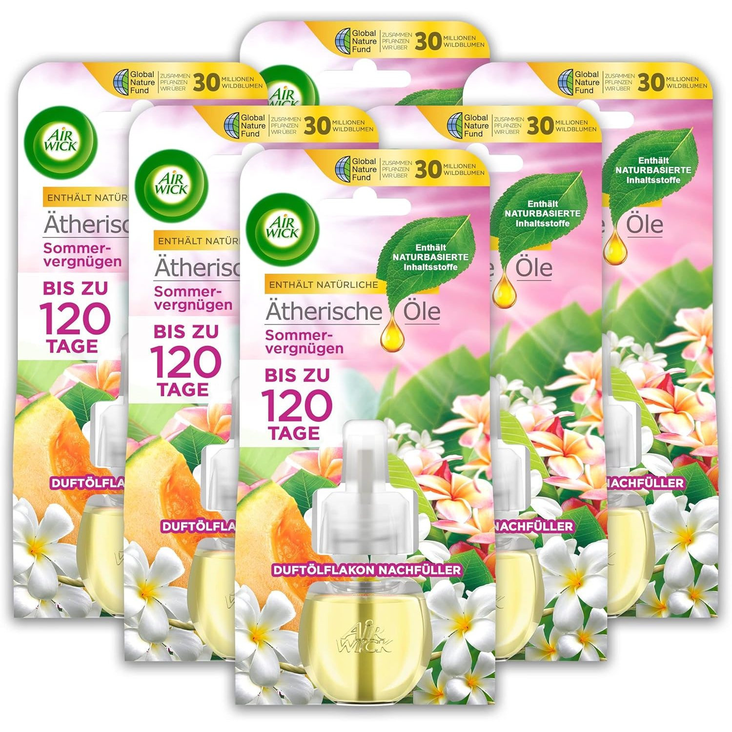 Scented Oil Refill - Floral- Fragrance - 6 X 19ml Scented Oil Set