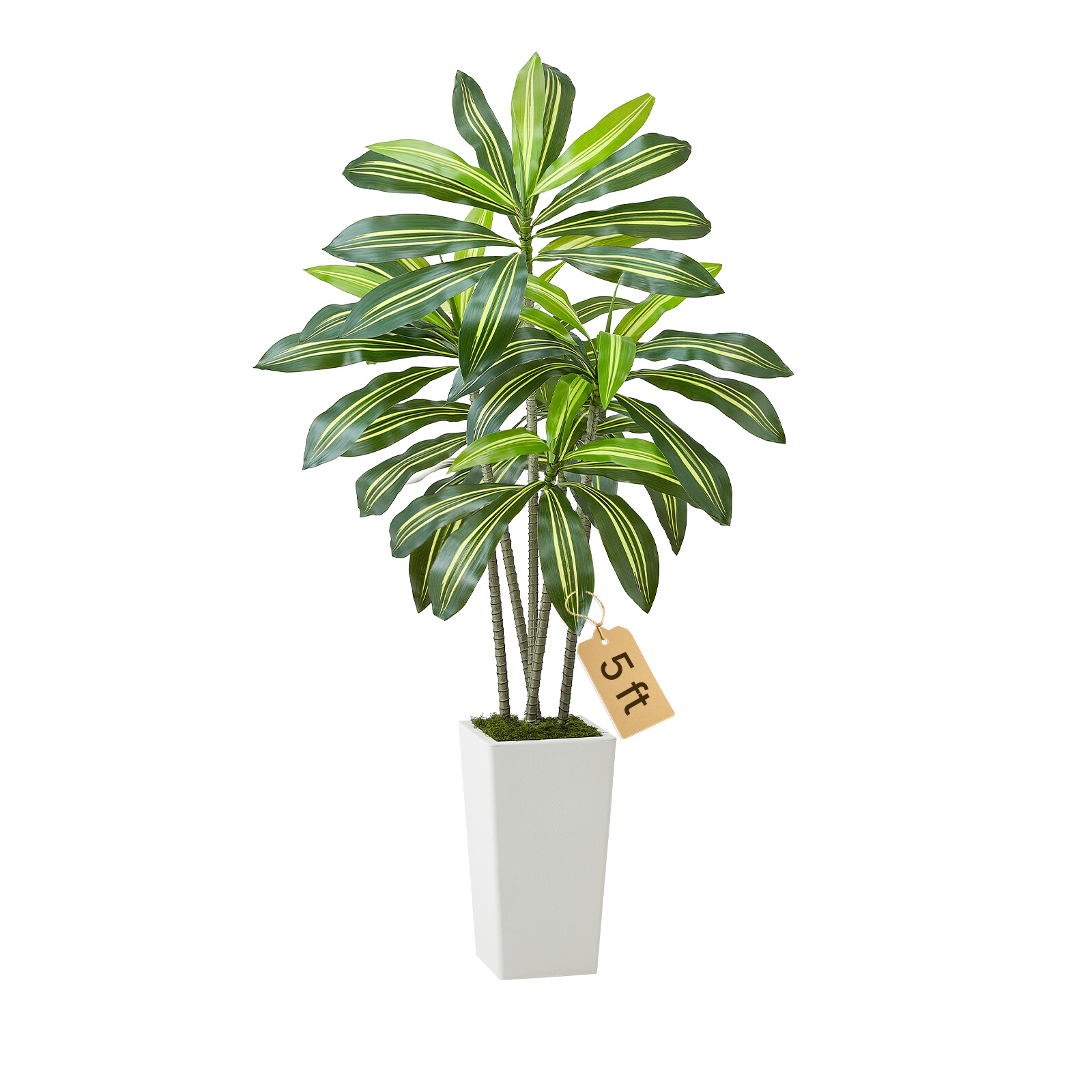 TEMU VEVOR Arbre Dracaena Artificiel 1524 mm, Fausse Plante Palmier avec Grand Cache-pot Blanc, Fausse Plante de Sol en Soie en Pot, Grands Arbres